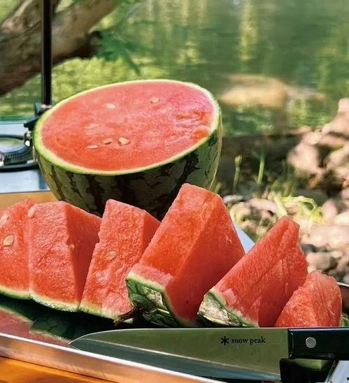 吃瓜科普知识视频,跟随视频一起探索