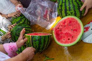 最新恶心吃瓜视频大全集,2023年度全网最热恶心吃瓜视频大盘点