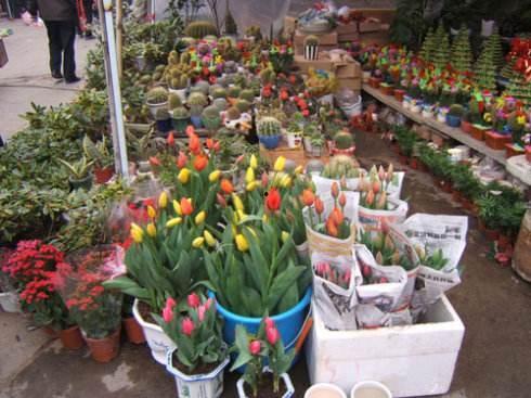 花店老板最新吃瓜视频,揭秘娱乐圈幕后真相