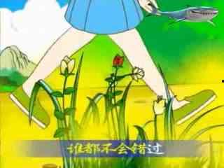 呱呱吃瓜的故事视频播放,一场爆笑的夏日盛宴