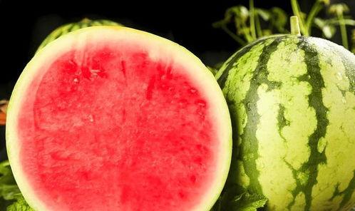 西瓜视频在哪里吃瓜,畅享“吃瓜”盛宴，解锁热门视频新姿势