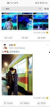 明星吃瓜爆料全屏视频下载,揭秘娱乐圈幕后真相