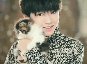 王俊凯吃瓜少女视频大全,吃瓜少女视频大全集锦