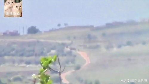 吃瓜场景怎么拍视频的,捕捉夏日吃瓜欢乐时光