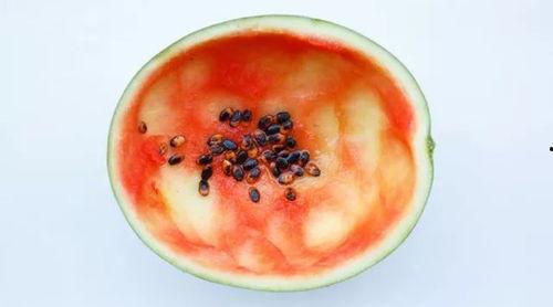 盐城最近吃瓜事件真相视频,真相视频曝光背后的真相