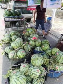 冕宁吃瓜事件视频,一场网络热议的真相揭秘