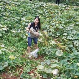 宜宾最新吃瓜事件视频播放,视频曝光引发网友热议