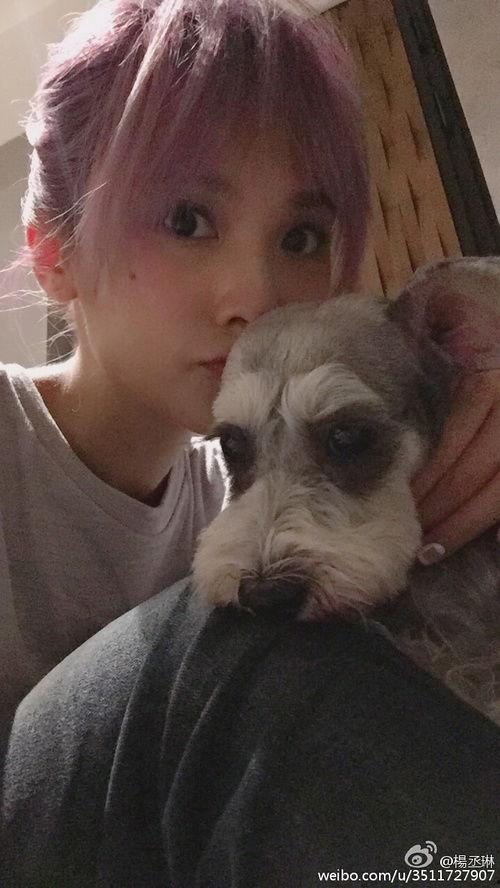 吃瓜女明星找狗视频