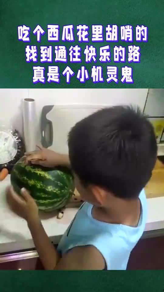 小机灵鬼吃瓜视频全集,揭秘全集笑料横生的欢乐之旅