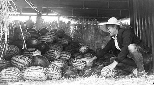 扬州吃瓜群众事件视频曝光,视频曝光引发社会热议