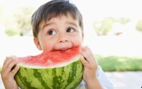 幼儿游戏吃瓜视频大全播放