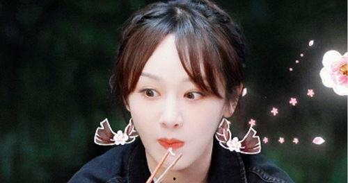 吃瓜娱乐杨紫视频大全