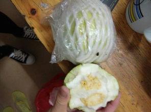 吃田瓜要削皮吗视频大全  第2张