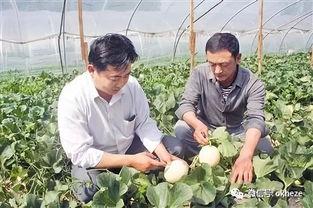 山东单县吃瓜事件视频,一场引发热议的街头冲突纪实  第3张