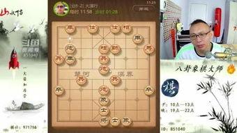 带你吃瓜象棋视频大全下载,一网打尽经典棋局解析  第2张