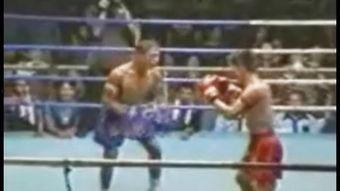 体育圈吃瓜图片搞笑视频,吃瓜图片搞笑视频大盘点  第2张