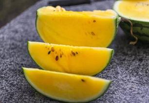 1小时视频吃瓜,一小时视频揭秘吃瓜界的风云变幻  第2张