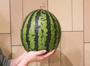 1小时视频吃瓜,一小时视频揭秘吃瓜界的风云变幻  第3张