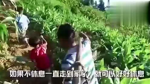 大悟吃瓜事件视频完整版,揭秘视频完整版背后的真相与争议  第3张