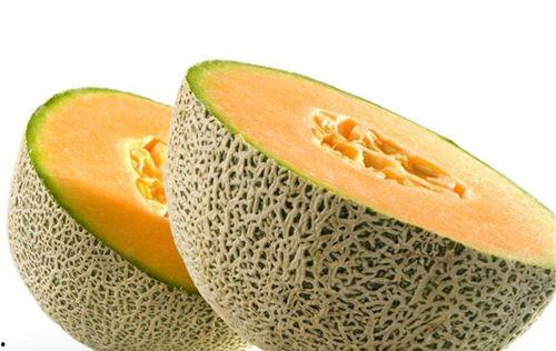 企鹅吃哈密瓜视频大全下载,趣味视频合集下载