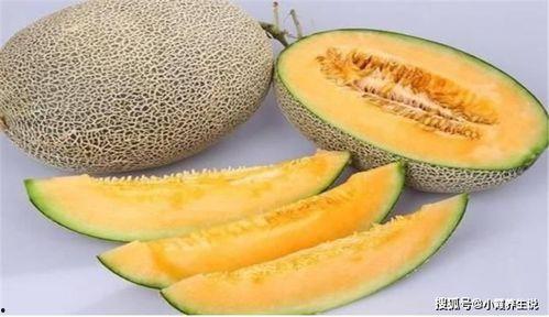 企鹅吃哈密瓜视频大全下载,趣味视频合集下载  第2张