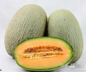 企鹅吃哈密瓜视频大全下载,趣味视频合集下载  第3张