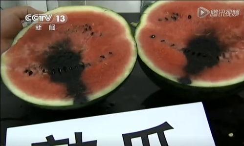 西瓜君吃瓜视频  第2张