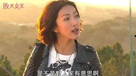 四哥吃瓜视频大全下载  第2张