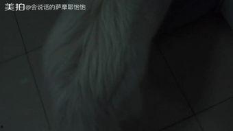 搞笑歌曲吃瓜视频大全,带你领略搞笑音乐的魅力  第1张