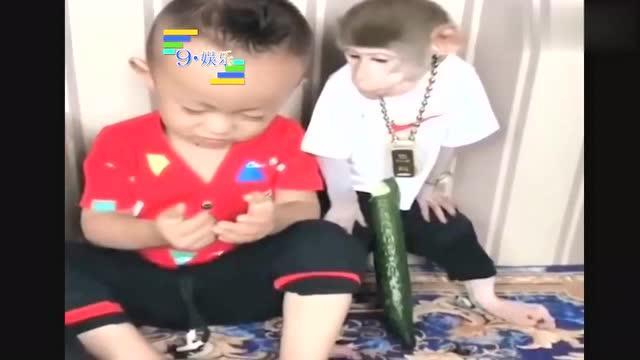 路人吃瓜搞笑合集视频  第3张